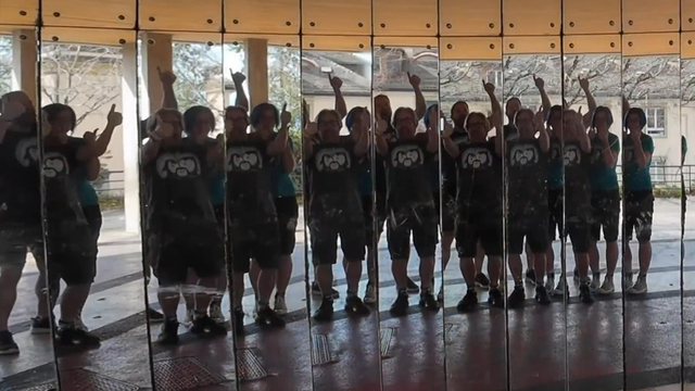 Pingouins Ténébreux, Goldenscapes 2025